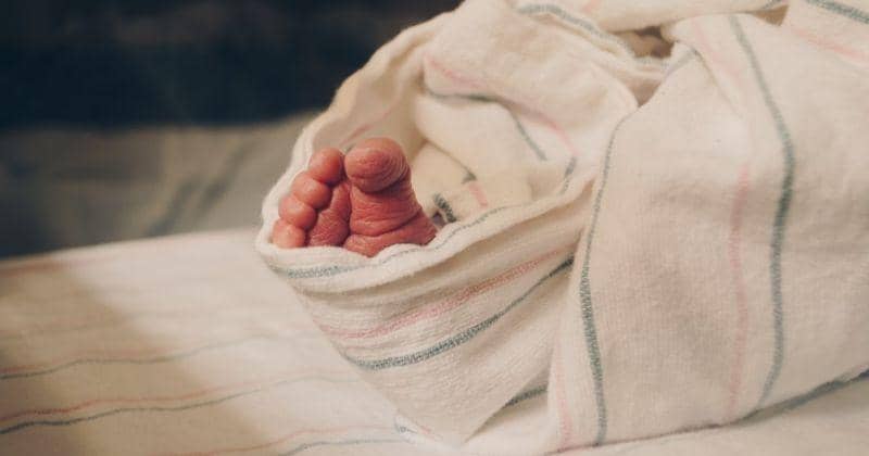 Unsplash/Kelly Sikkema